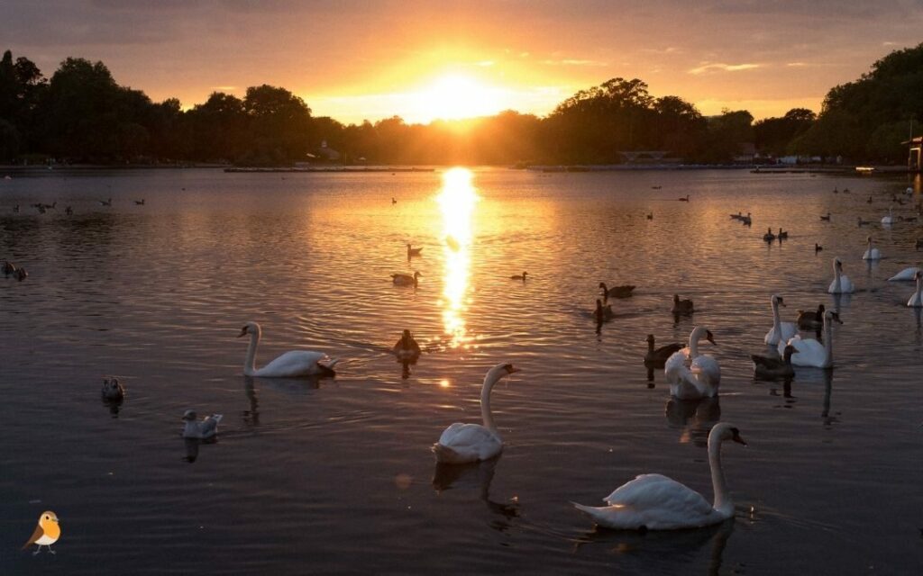 Planes románticos Londres