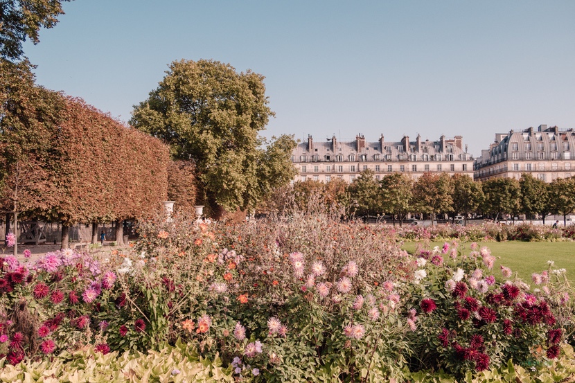Jardin de Tuileries.