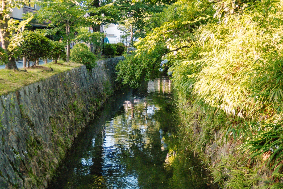 Paseo del filósofo en Kioto, imprescindible en tu primer viaje a Japón