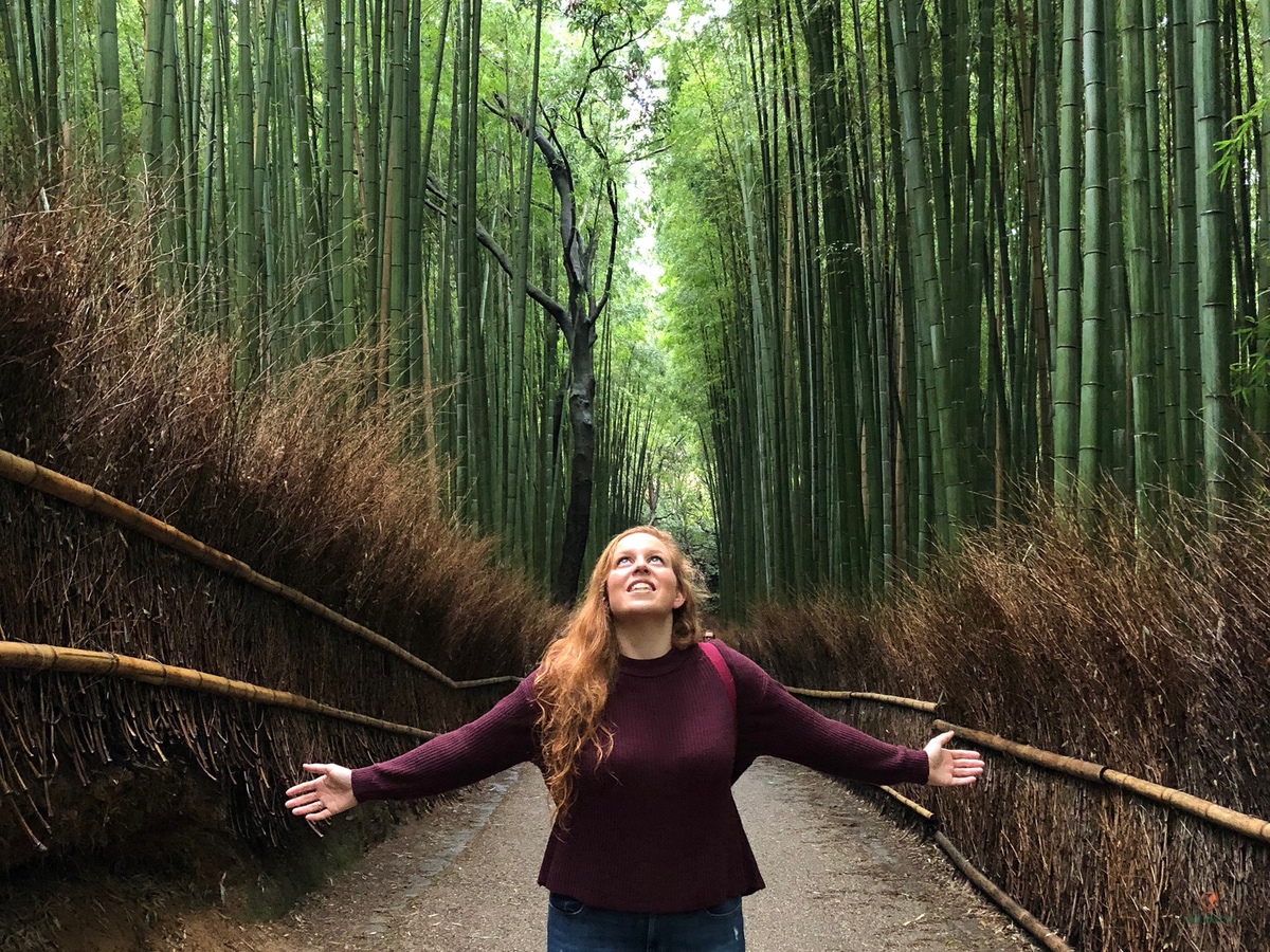bamboo groove in Arashiyama