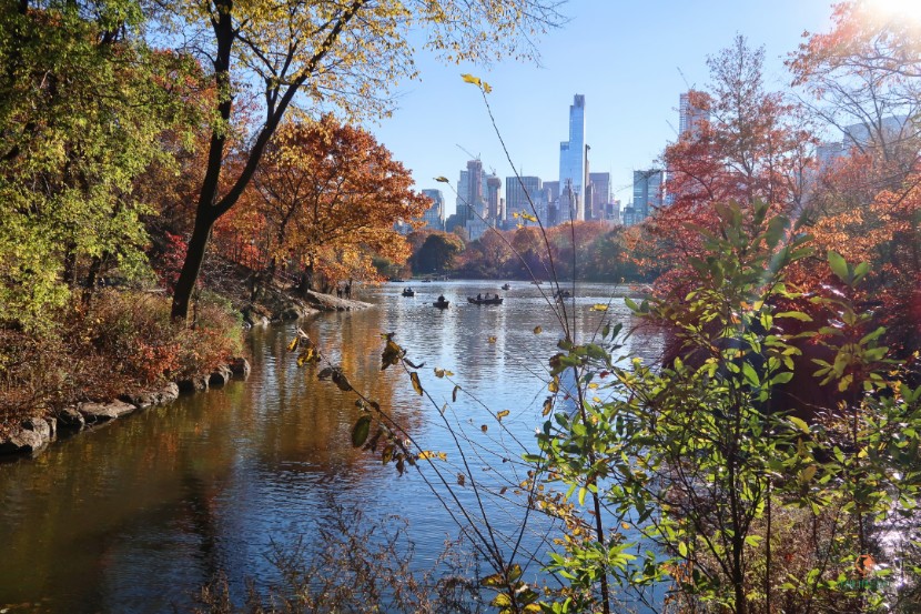 central-park-oak-bridge