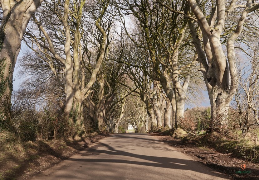 Game of thrones Dark edges