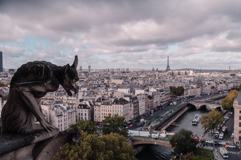 Gárgolas en París.