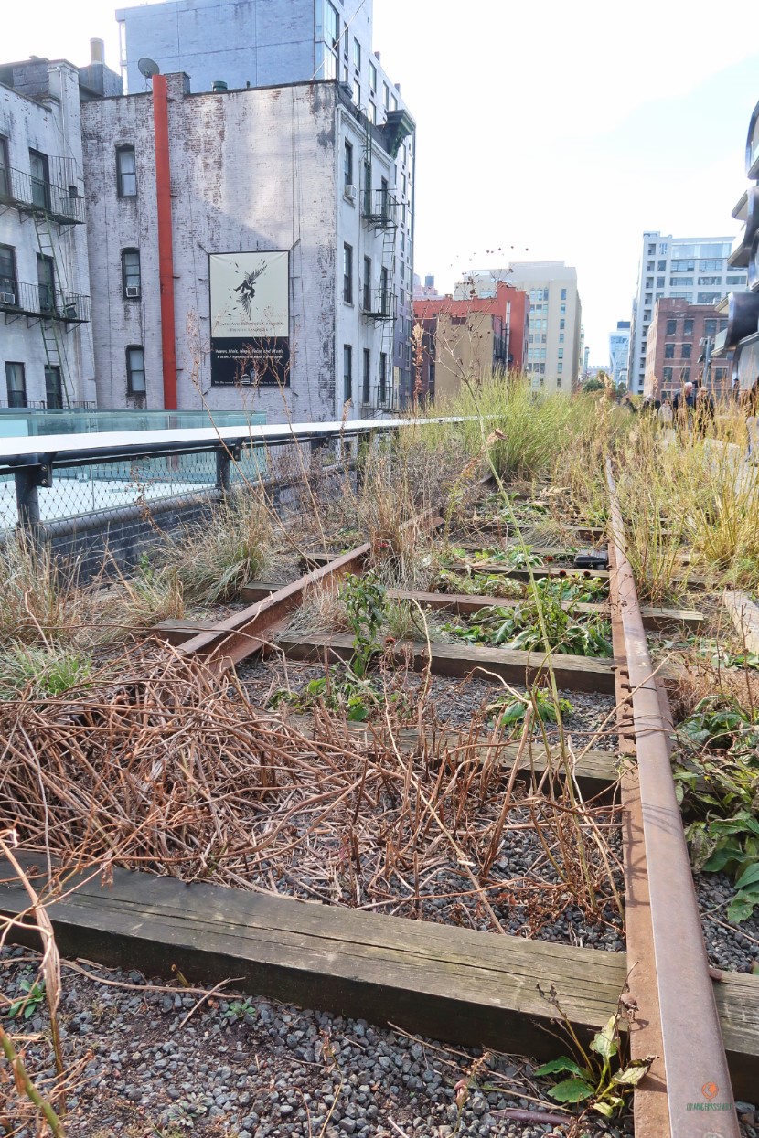 high-line-rail-train