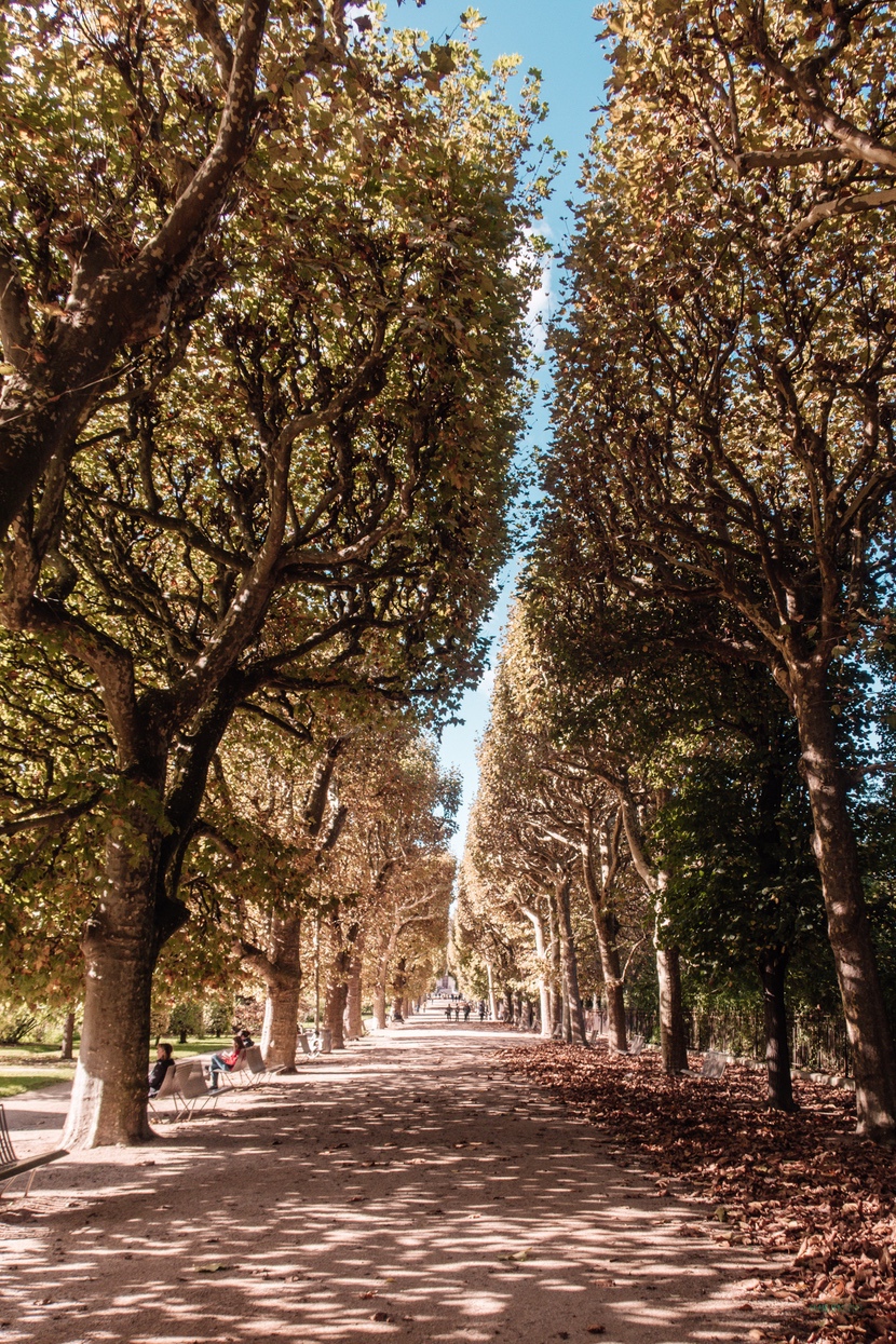 Jardin des Plantes.