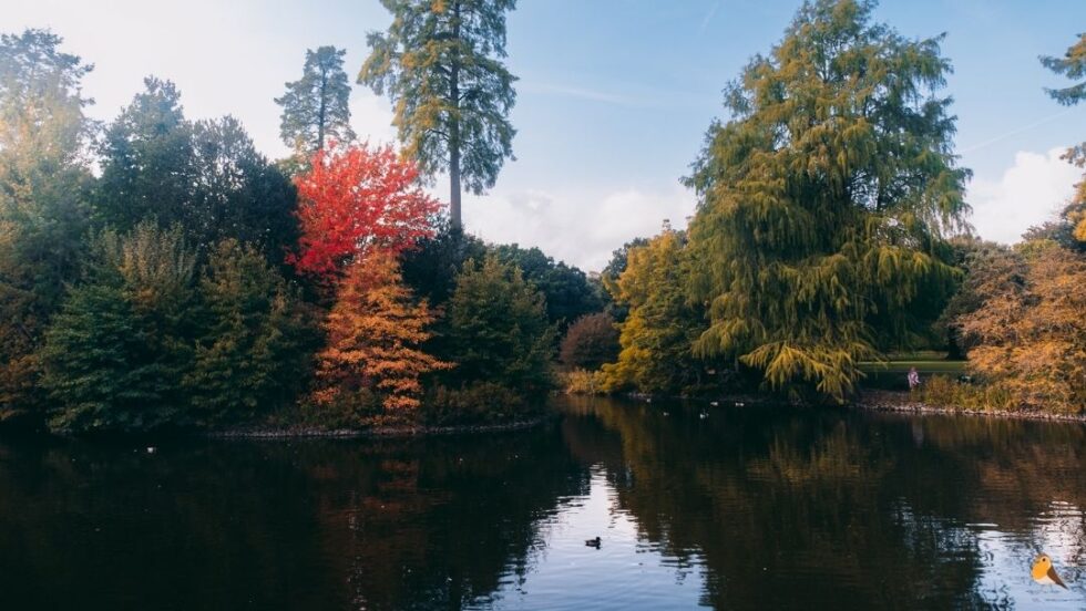 planes románticos en Londres Kew Gardens
