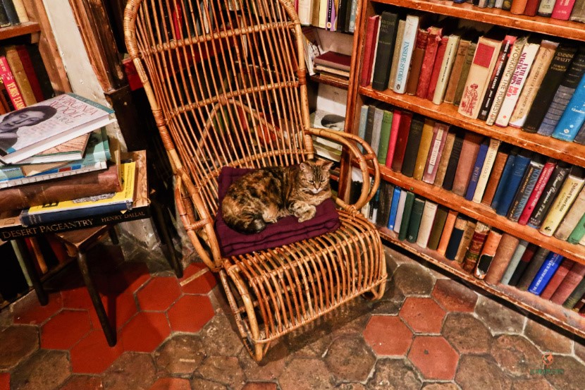 libreria-shakespeare