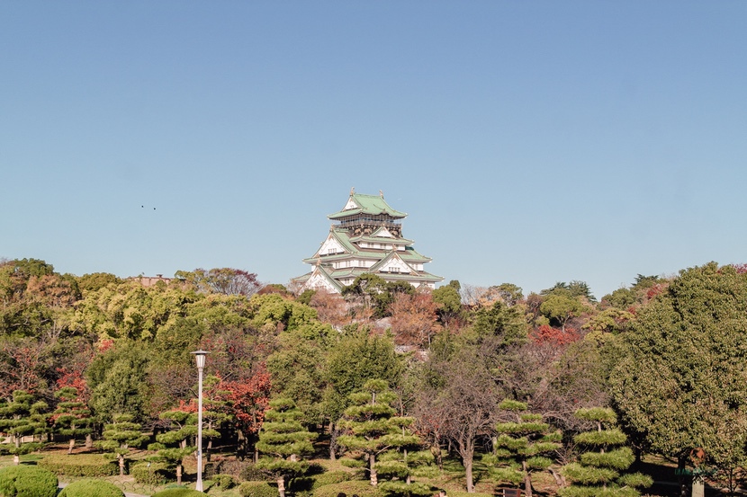 Castillo de Osaka y el parque.