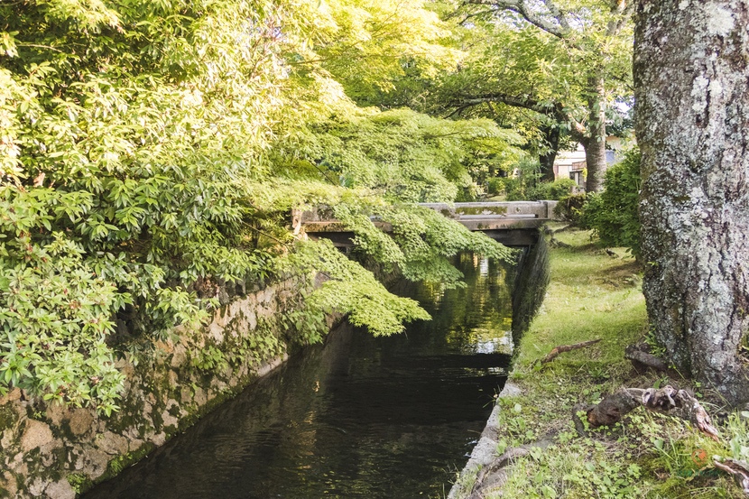 Paseo del Filósofo en Kioto
