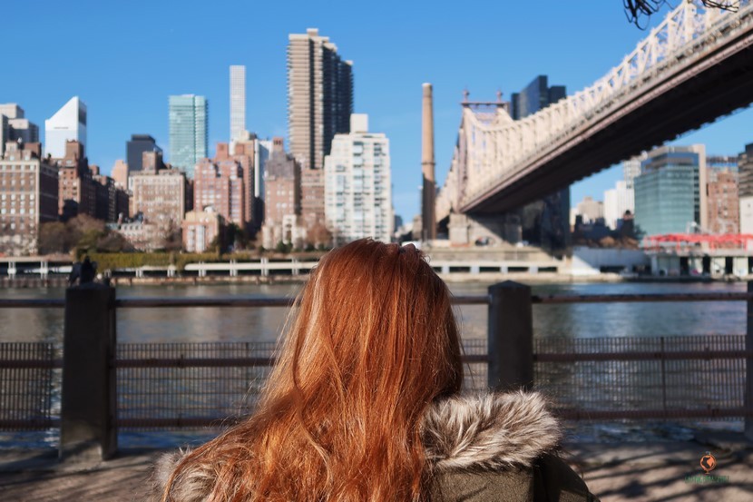 Vistas del Skyline de Manhattan