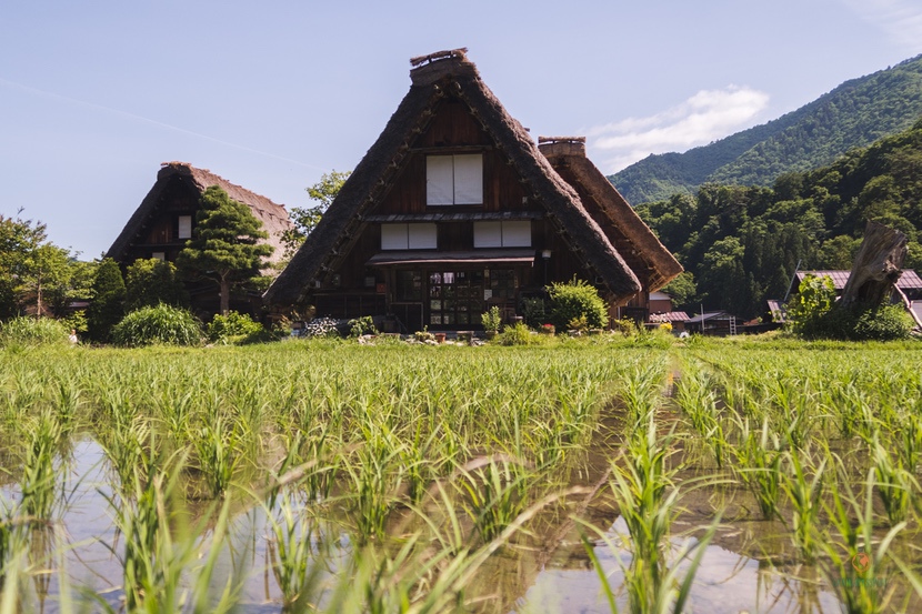Aldea de Shirakawago.