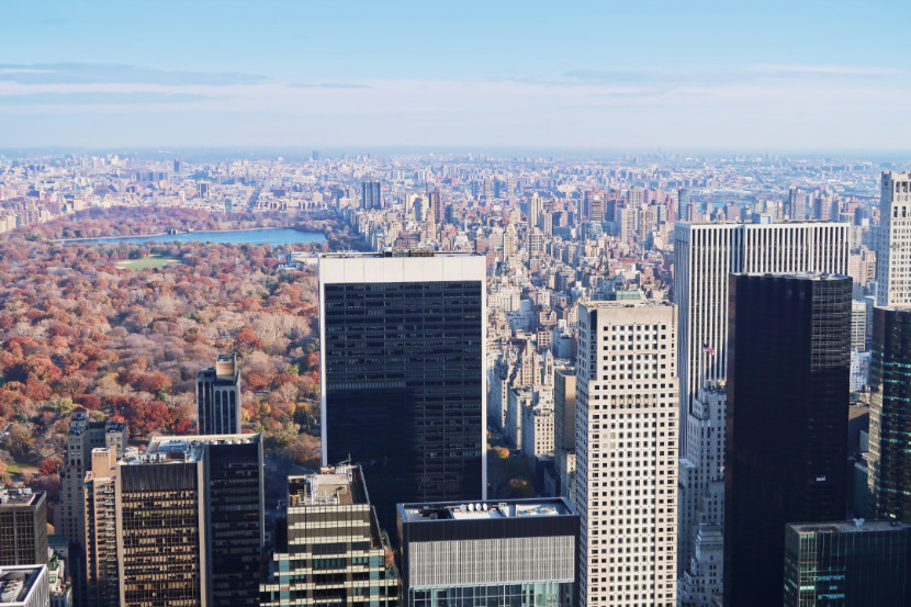 Central Park desde las alturas del Rockefeller Center.