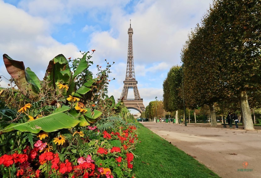 Picnic Torre Eiffel