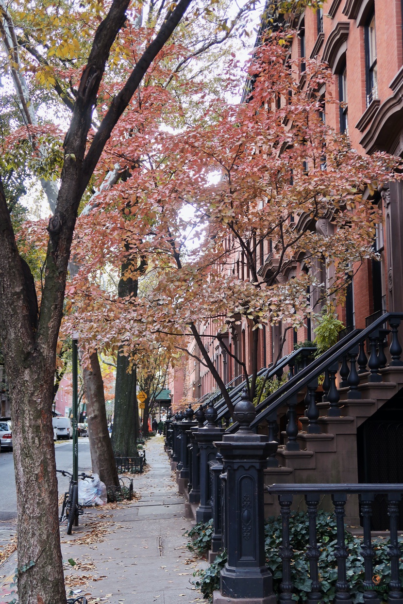 Razones para visitar Nueva York, West Village.
