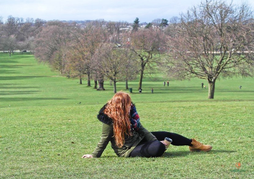 Qué ver en Nottingham, el Wollaton Park.