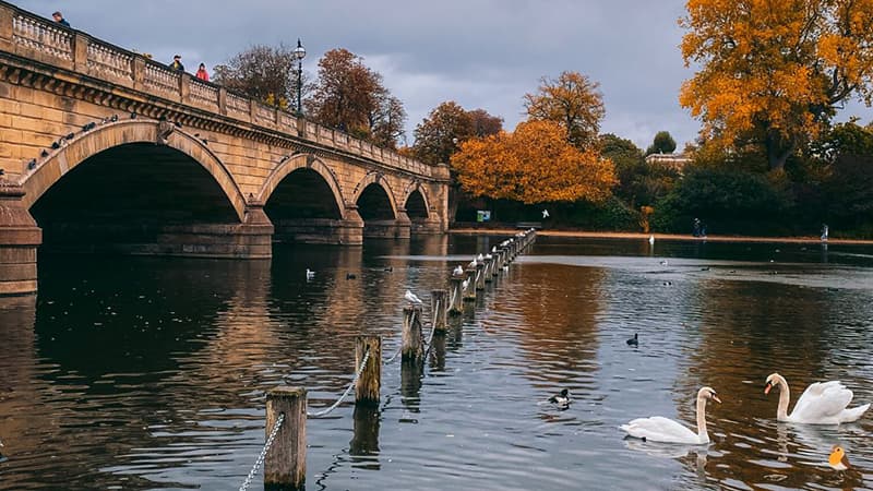 Qué se puede hacer en Londres en noviembre
