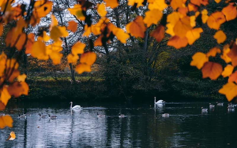 Qué se puede hacer en Londres en octubre