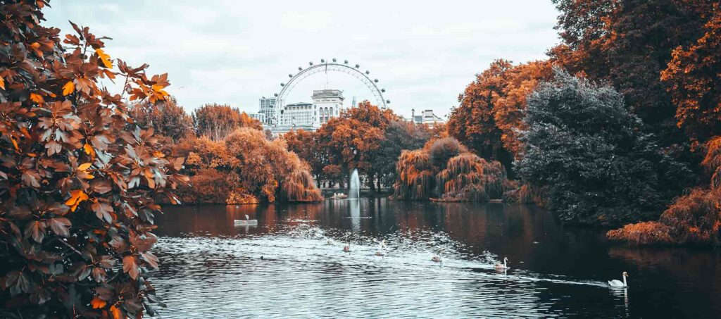 qué hacer en Londres en noviembre