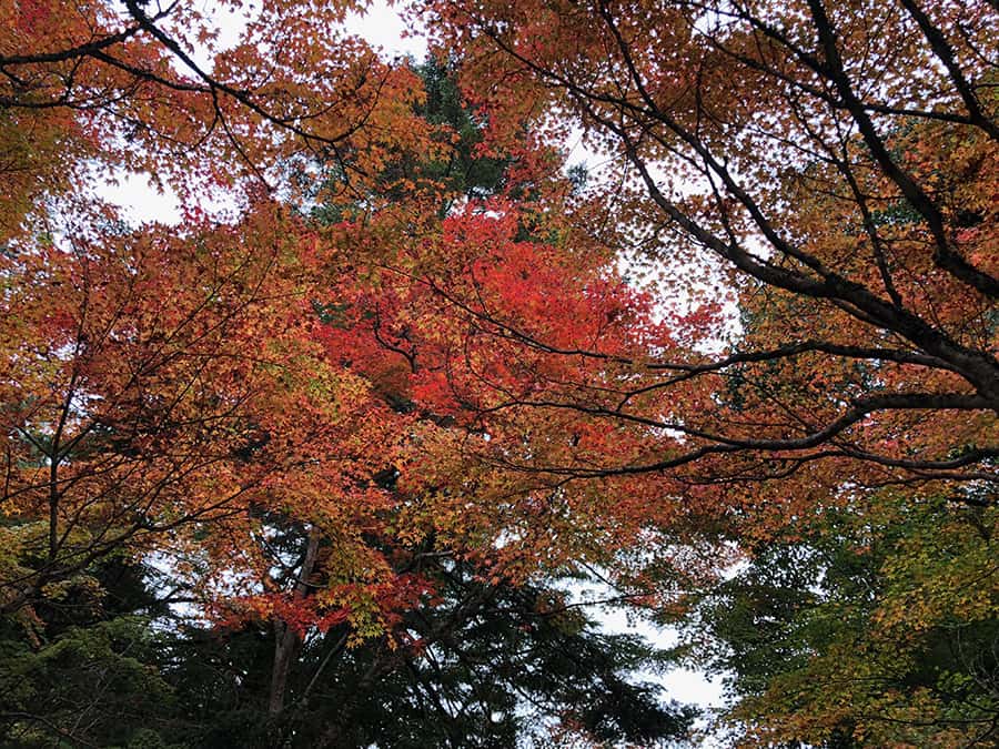 Parque de la expo 70