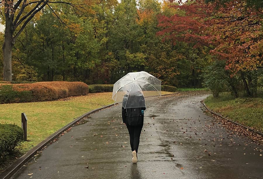 viajar a Tokio en otoño