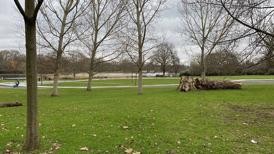 Eventos durante el mes de noviembre