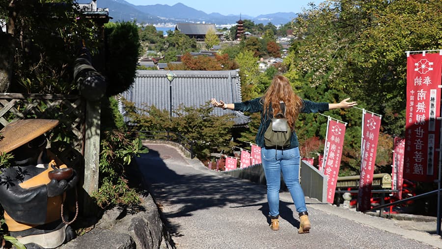 Vistas desde el Templo Daisho In