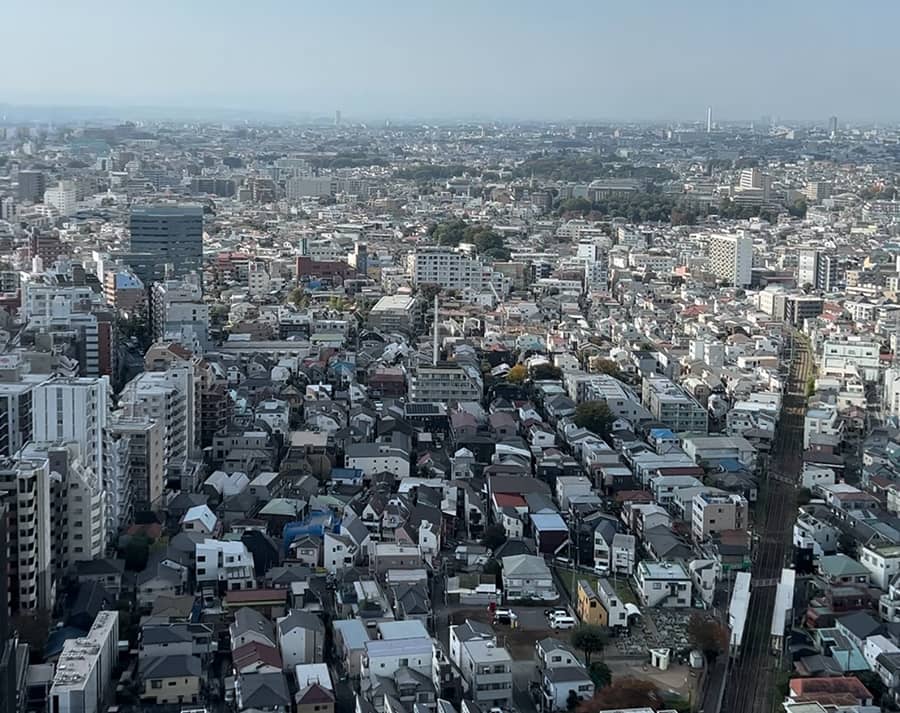 Mirador Carrot Tower