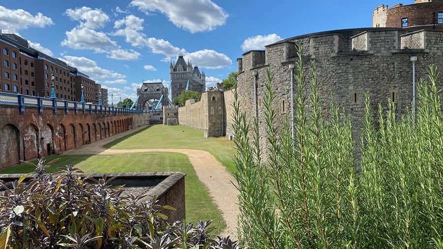 Puente de la Torre desde el patio interior