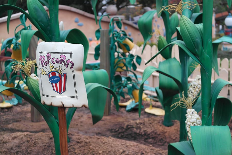 Tipos de accesos en Disneyland Tokyo