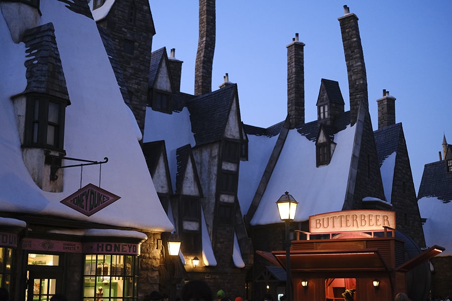 The Wizaring World of Harry Potter