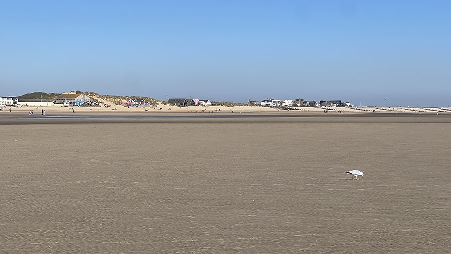 Camber Sands Cómo visitarlo desde Rye