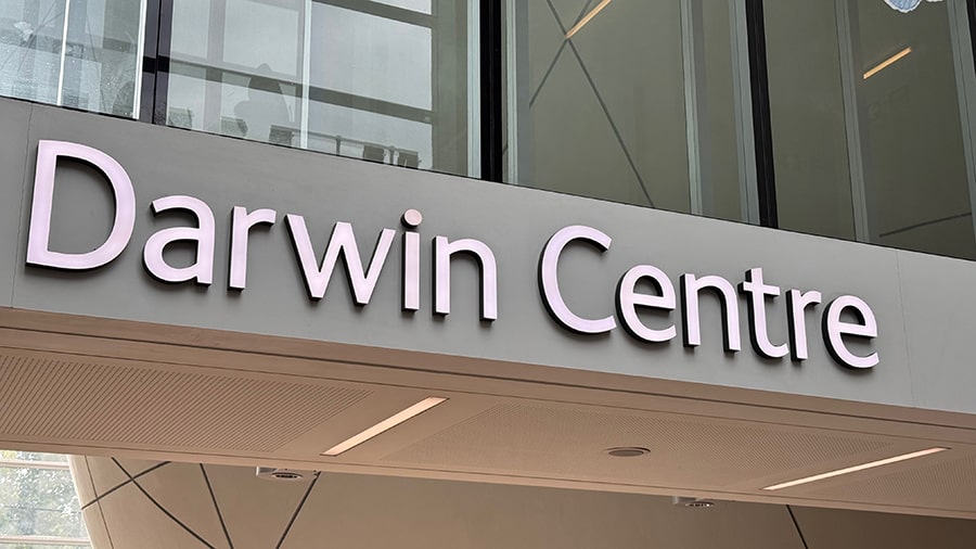 Darwin Centre zona naranja