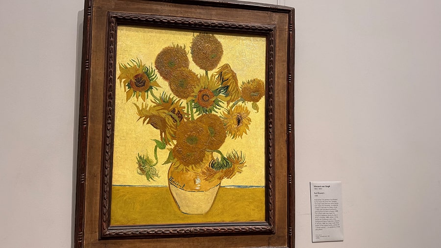 Los girasoles en la zona verde de la National Gallery
