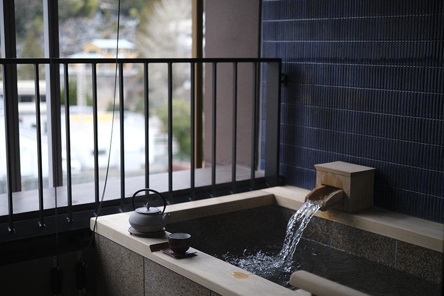 Hakone onsens y vistas del Monte Fuji