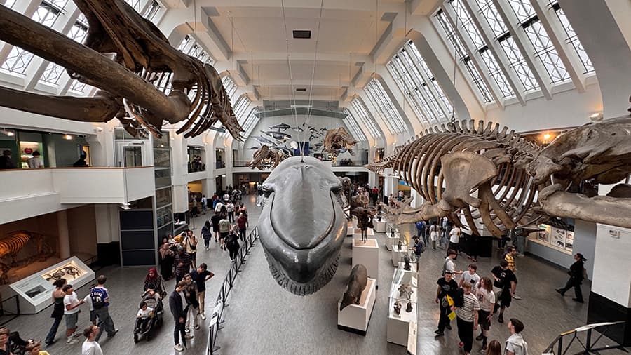 Museo de Historia Natural