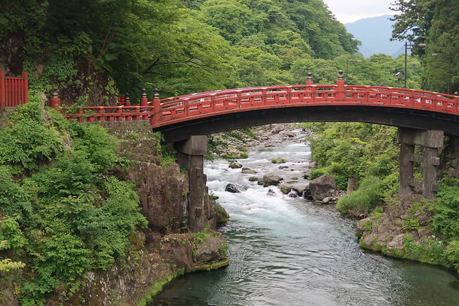Los imprescindibles de Nikko