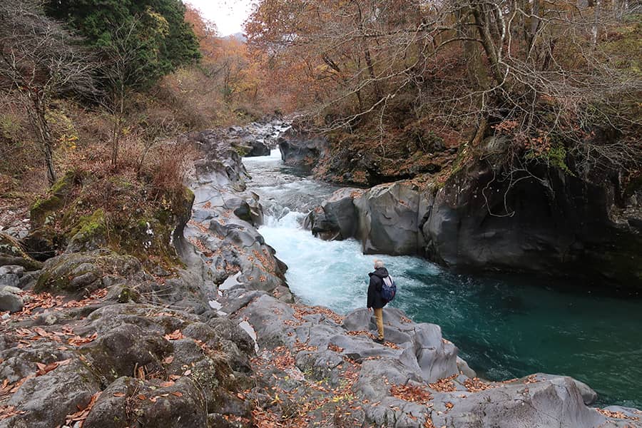 Más allá de los templos y los bosques