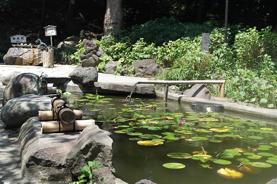 Otros tesoros menos conocidos de Kamakura