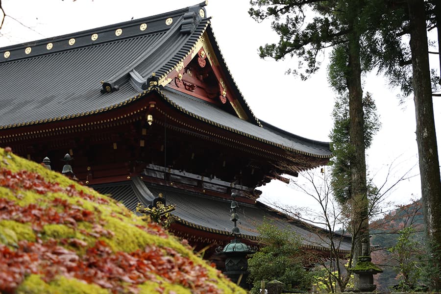 Rinno ji el alma budista de Nikko