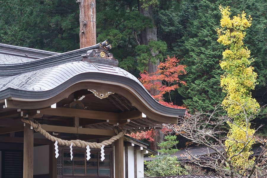 Santuario Futarasan el segundo santuario del shogun