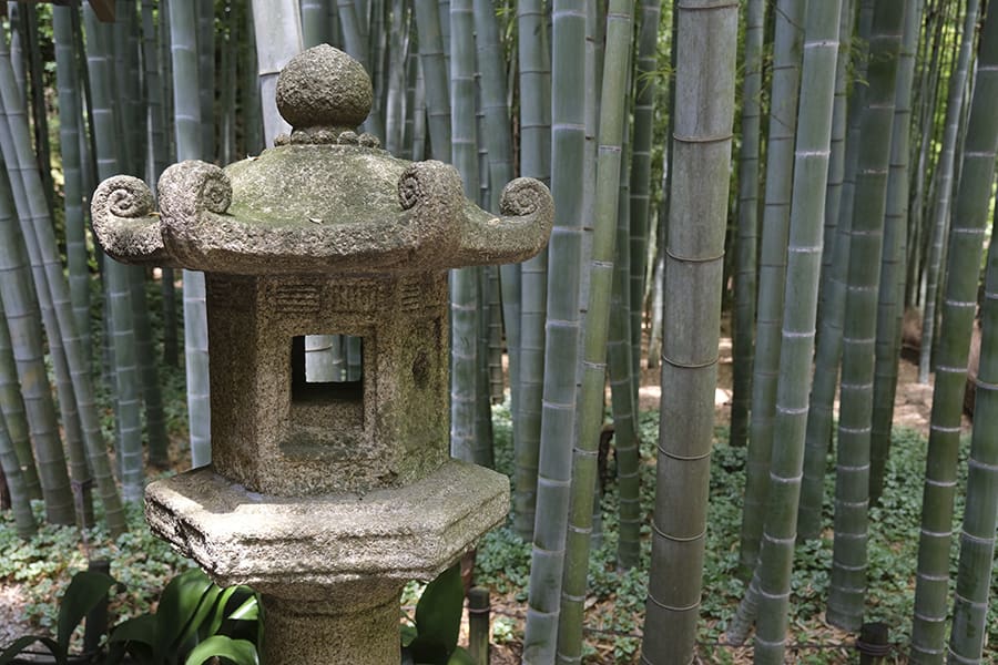 Templo Hokokuji en Kamakura