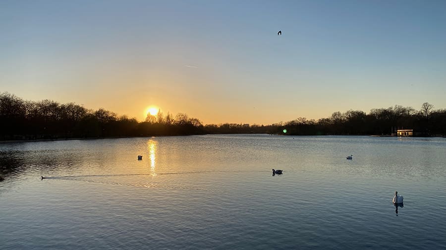Rincones verdes y parques ocultos