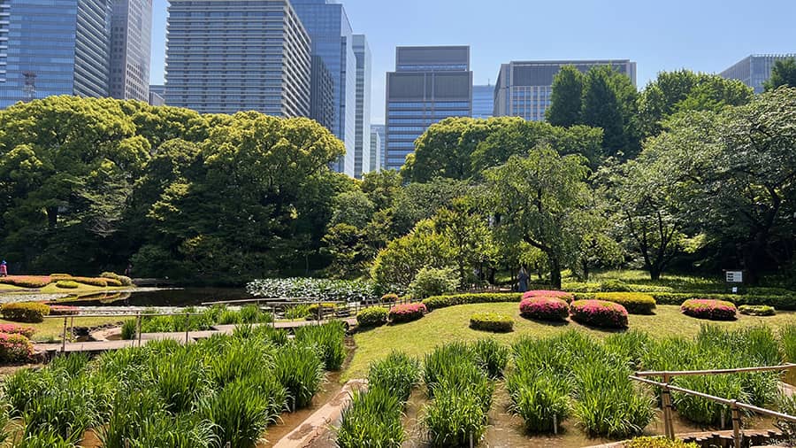 Entonces cual es la mejor época para viajar a Japón